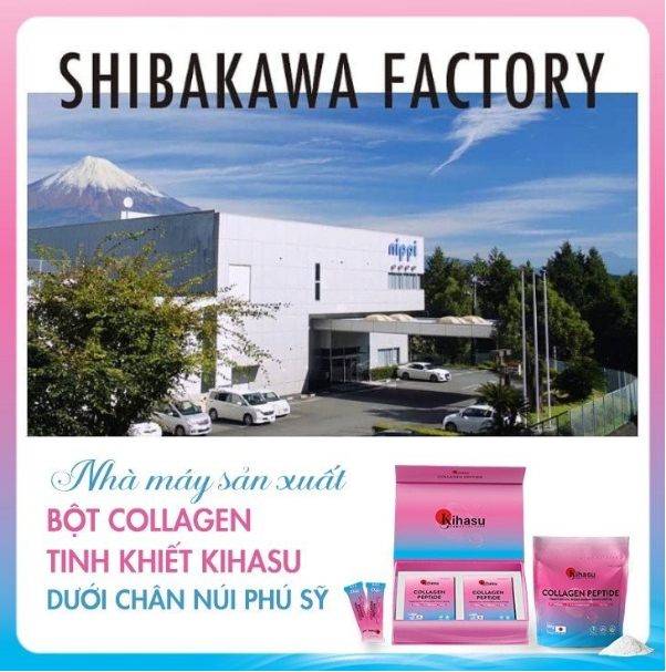 Nhà máy sản xuất COLLAGEN