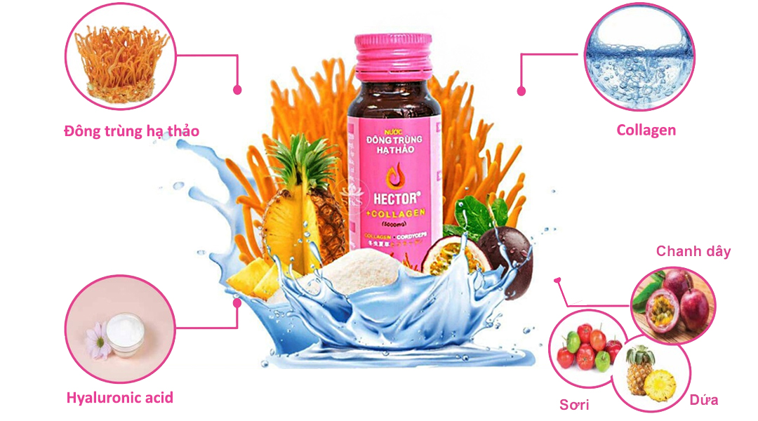 Hector Collagen